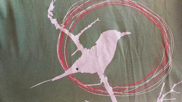 Close up of a green shirt with a print of a bird sitting on a twig, surrounded by a swirl of red lines.  There's a tiny hole in the shirt, corresponding more or less where a bird's butthole would be.