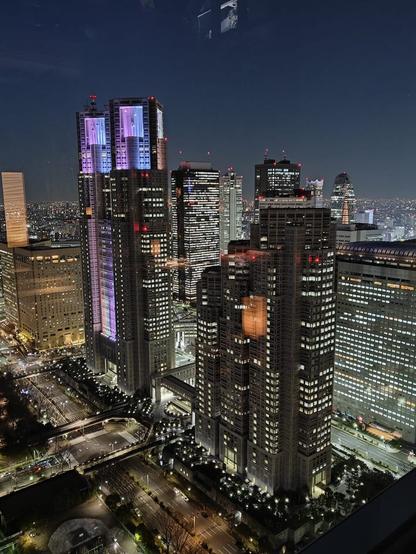 Tokyo from above