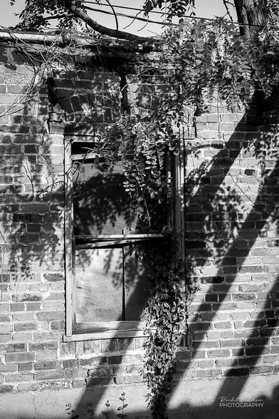 An interior view of an old brick garage with no roof.