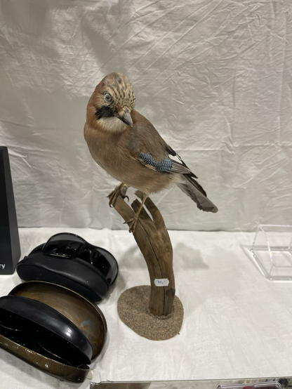 A stuffed bird at a flea market.