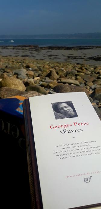 Couverture du second tome des oeuvres de Georges Perec dans La Pléiade. 
Photo prise sur une grève au bord de la mer en Bretagne Nord.