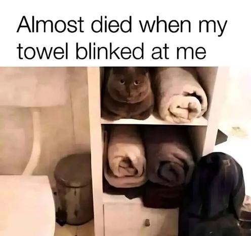 Photo by Just For Jokes on May 03, 2025. May be a meme of 1 person, towel rack, napkin, paper towel, bathmat and text that says 'Almost died when my towel blinked at me'.