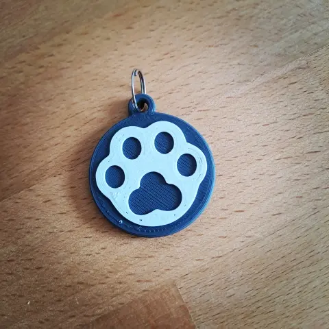 Recto de la médaille imprimé en 3D. Elle est grise avec une empreinte de chat en blanc.