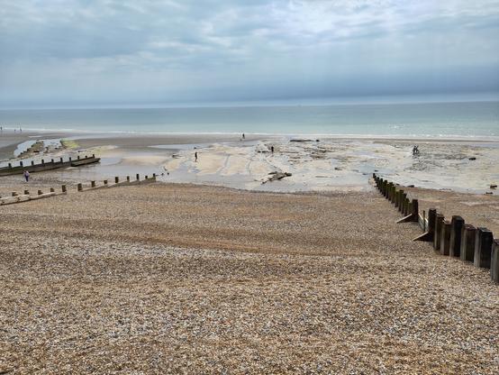 Shingle beach separated by wooden groynes. The tide is out exposing dinosaur footprints.