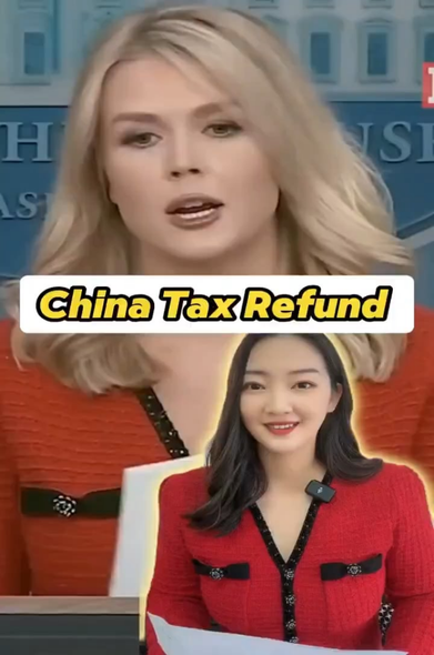 White House Press Secretary was wearing a dress made in… China… while promoting trade war. So, here came the response — an informative trolling.
