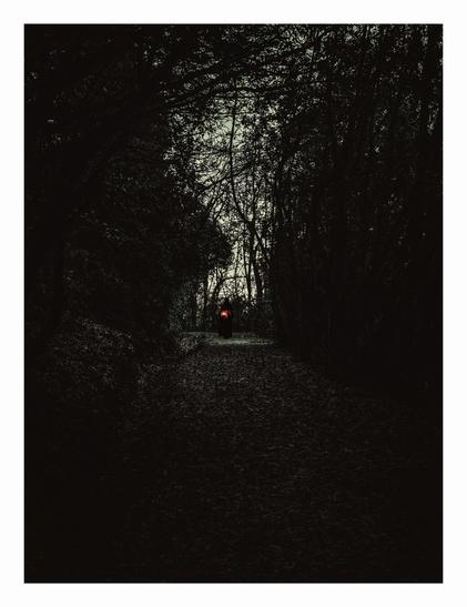 A dark picture of a forest path. The path is covered in dead leaves and the on either side of the path is lined with densely packed trees with semi barren branches. In the middle of the picture at the end of the path there is a dark hooded figure holding a lantern.