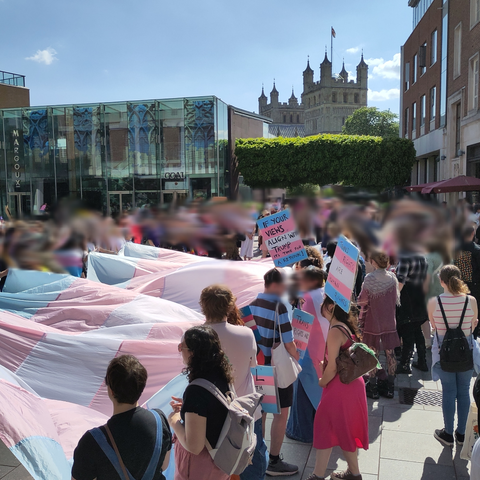 A huge trans flag leads up to the stage with the speaker and sign language interpreter, surrounded by a crowd of around 200-300 people