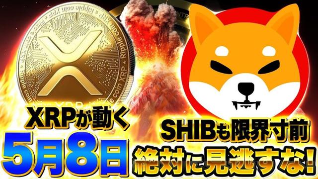 【仮想通貨】5月8日が仮想通貨の運命を決める｜BTC10万ドル突破なるか？XRP&SHIB最新情報も解説！（BTC、XRP、リップル、SOL、SHIB）