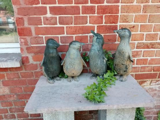 Vor einer Hausfassade aus Backstein ist ein steinerner Tisch aufgebaut. Auf der Tischplatte stehen 4 verschiedene Pinguin-Figuren. Leider fehlen den Pinguinen die Flügel, da diese mutwillig angeschlagen worden sind. Teilweise zeigen die Figuren Verwitterungsspuren. Zwischen den Pinguinen wächst Efeu hindurch.
Die Figuren stammen aus dem Stadtpark Hamburg und werden hier in Wittenberge wieder fit gemacht.