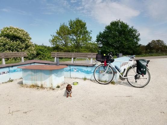 Szenenwechsel - wir sind hier auf dem Elbdeich in Wittenberge an der ehemaligen Badeanstalt. Da wo einst das Umkleidehaus stand, befinden sich jetzt Betonblöcke zum Sitzen. Auf den Blöcken sind seitlich blaue Wellenlinien aufgemalt und teilweise sind die mit einem bunten Mosaik beklebt, was aber schon teilweise kaputt gekloppt wurde. Mein Fahrrad steht links im Bild und in der Mitte ist Effie vor ihrem Trinknapf.