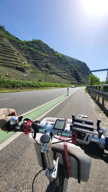 Klappradlenker mit Kiste vorn dran aus der Perspektive des Radlers, fahrend neben einer Landstraße. Links steil ansteigende Weinhänge