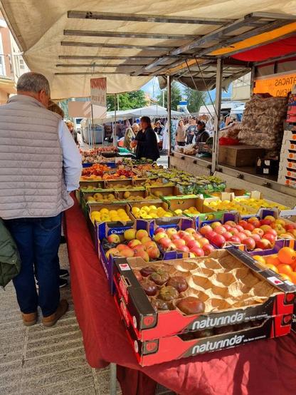 (Buah tiña o alt escrito e marchou)

Posto da feira formado por unha furgoneta grande aberta por un lateral. No chan formando o posto, unha mesa enorme chea de froita.

Á señora está o lonxe na outra esquina do posto. Hai preto da cámara, de espaldas, un señor fachalequil mirando para a froita