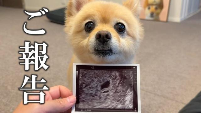 【ご報告】第一子となる赤ちゃんを授かりました！