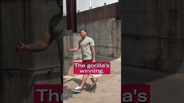 100 men vs. 1 Gorilla, who would win? 🤔