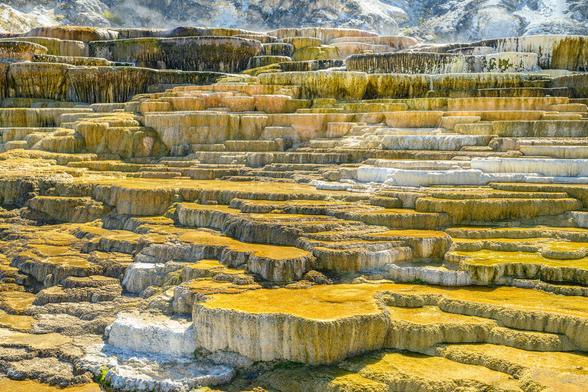 Color photo.  Mammoth Hot Springs, in Yellowstone National Park.  Tiers of mineral deposits, forming rough steps and ledges, rising up from the bottom of the frame.  They are a sulfurous greenish yellow for the most part, with some brilliant white interspersed.