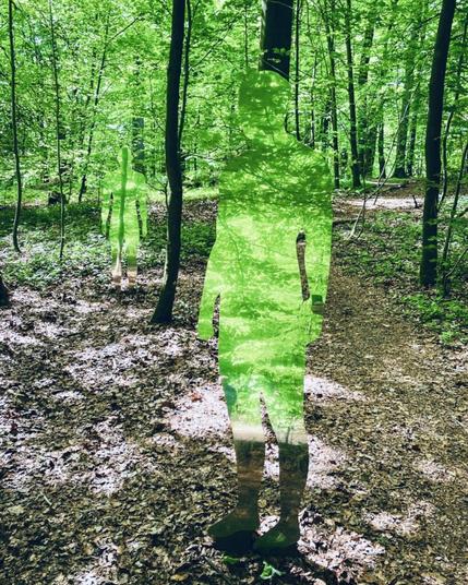 Kunst im Wald von Bad Iburg. Spiegel in Menschengestalt geben das Bild des grün belaubten Waldes und wieder.