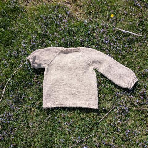 Beige raglan knit sweater shown on grass, left sleeve unfinished and still on knitting needles. A work in progress