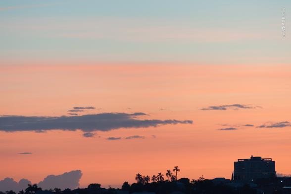 Two pastel bands, delicate light blue and peach, fill the dawn sky. The peach is actually an even, high cloud bank, but it's so uniform it could be sky. A few grey clouds provide some depth and structure. Running along the very bottom of the image is the black silhouette of a suburban ridgeline, with the very recognisable outline of a stand of palms amongst the other trees.