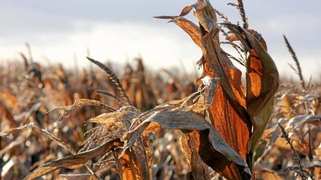 Langfristige Vorhersage deutet längere Trockenphase an – Bilanz für April