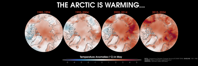 Four polar stereographic maps showing Arctic near-surface air temperature anomalies for the month of May in 1985-1994, 1995-2004, 2005-2014, and 2015-2024. Most all areas are observing long-term warming, which is largest at the edges of the Arctic Ocean on the Atlantic and Pacific facing marginal seas.