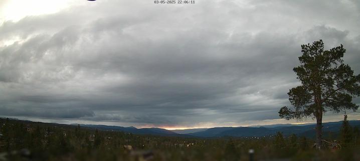 This webcam usually shows a view of the sky with a singular tree on the right side of the image, and more trees further in the distance. It's a cloudy day. It's 35ºF/2ºC.