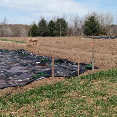 An acre of land being prepared for the community farm.