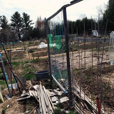 Community gardens still in hibernation but ready to start growing.