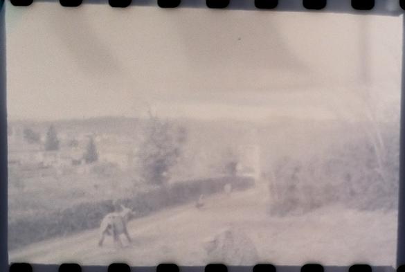 Paysage en contre-bas, avec statues et verdure