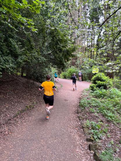 Photo of Emily running downhill away from the camera in a woods.