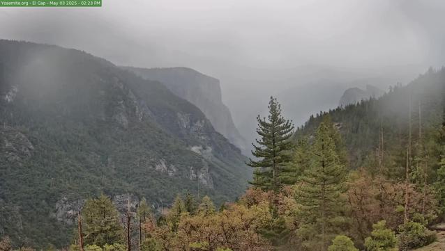 Located on a dome near the Wawona Tunnel, this webcam provides a nice view of Yosemite Valley.
This webcam image is provided courtesy of Yosemite Conservancy.