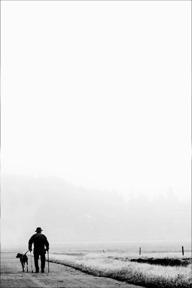 Black and white. portrait format. a street in a wide landscape. a foggy day. the majority of the picture is dominated by the white sky and the foggy landscape. an elderly man with crutches as a walking aid is walking his dog on the street. their dark silhouette makes them stand out strongly against the otherwise very bright background.