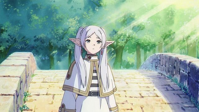 Picture of an elf