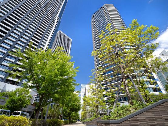下町にも立ち始めた「タワマン」「億ション」 一体どんな層が購入しているのか（1/4 ページ） - ITmedia