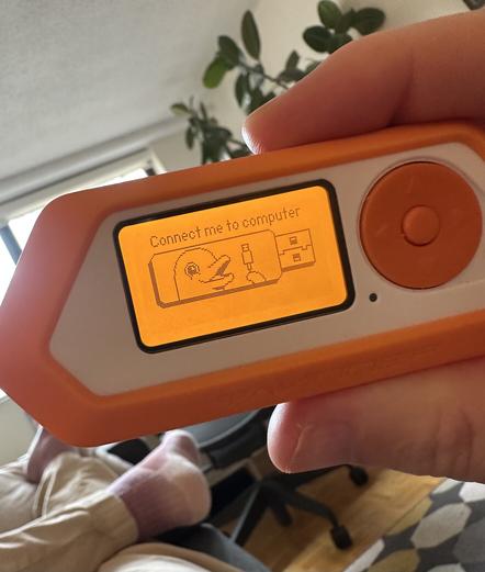 My hand holding a Flipper Zero. It’s showing a happy dolphin holding a USB cable, with the message “Connect me to computer.” It’s just the built-in U2F application, but it looks a little menacing.
