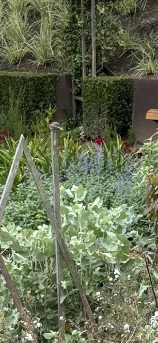 Little bird resting on top of a pole, surveying the gardens