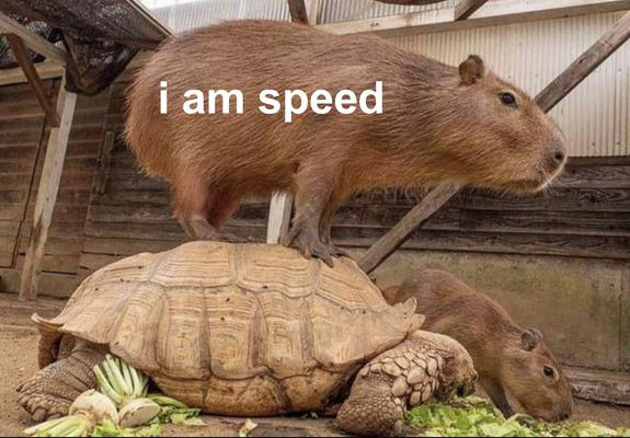 capybara leaning slightly forward on-top of a large tortoise.

caption: “I am speed”

via: @capibarabot@lile.cl