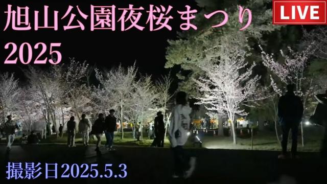 【LIVE】第16回旭山公園夜桜まつり・最終日2025.5.3【旭山動物園のすぐ隣り旭川市】
