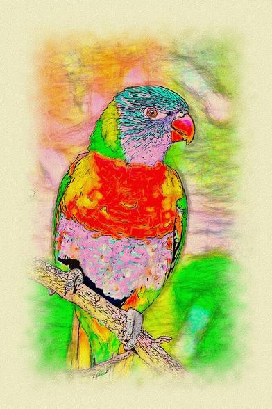 Bearbeites Foto das nun aussieht wie eine Zeichnung: Ein bunter Papagei auf einem Ast.

Edited photo that now looks like a drawing: A colourful parrot on a branch.