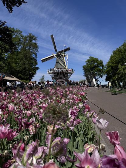 View of a windmill against a clear blue sky with flowers in the foreground