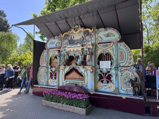 Musical organ