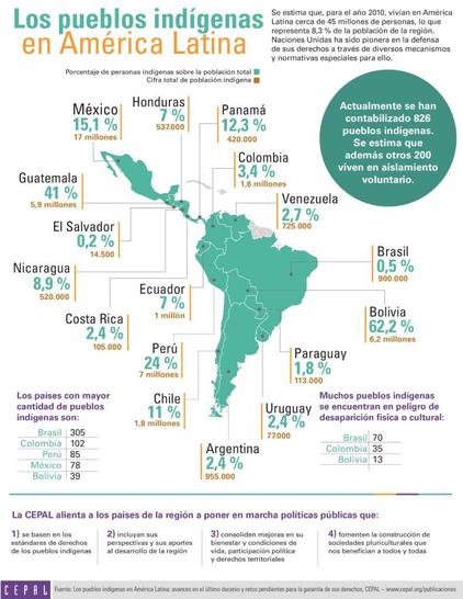 Los pueblos indígenas en América Latina (2014)