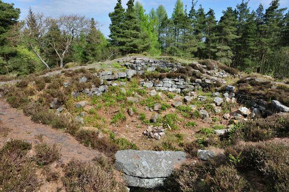 Tappoch or Torwood Broch. The image shows a circular structure of partly visible stones, especially within the hollow centre. Much of it is covered by heather and the outside is largely of earth. In the background are conifer trees. The scene is in sunlight.