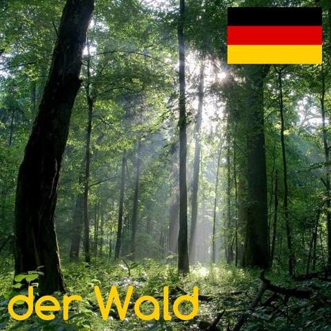 wald