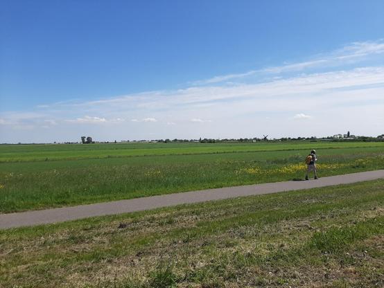 Iemand loopt over een rechte weg met grasveld aan beide zijden.