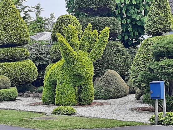 Plant/struik in de vorm van een fantasiedier.