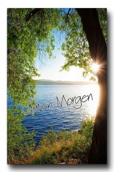 Guten Morgen! Das Bild zeigt eine friedliche Morgenszene an einem See. Die Sonne geht gerade auf oder ist schon ein wenig höher gestiegen und wirft einen hellen, strahlenden Schein über das ruhige Wasser. Die Ufer sind von grünen Bäumen und Büschen gesäumt, deren Blätter im sanften Morgenlicht leuchten. Im Hintergrund sind sanfte Hügel oder Berge zu erkennen, die in einem blassen Blau unter dem hellen Himmel liegen. Der Himmel selbst ist klar und hellblau, mit einigen zarten Übergängen zu Weiß in der Nähe des Horizonts. Auf dem Wasser sind leichte Wellen zu sehen, die das Sonnenlicht reflektieren und glitzern lassen. Im Vordergrund ist der deutsche Gruß "Guten Morgen" in geschwungener, heller Schrift über das Wasser gelegt. Die gesamte Szenerie vermittelt ein Gefühl von Ruhe, Frische und einem schönen neuen Tag.