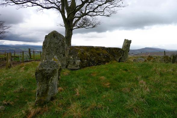 An enormous stone lies on its side between two talll standing stones, with a further shorter standing stone in the foreground. The setting is a grassy field underneath a silhouetted tree. The site is elevated and looks across farmland towards higher wooded hills on the skyline. It's overcast and there's a threat of sleety rain to come.
