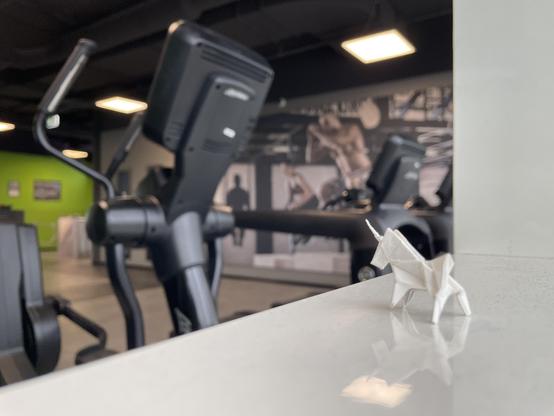 In the foreground of the picture is a small origami paper unicorn on a white windowsill. In the background you can vaguely recognise cross trainers and other fitness equipment