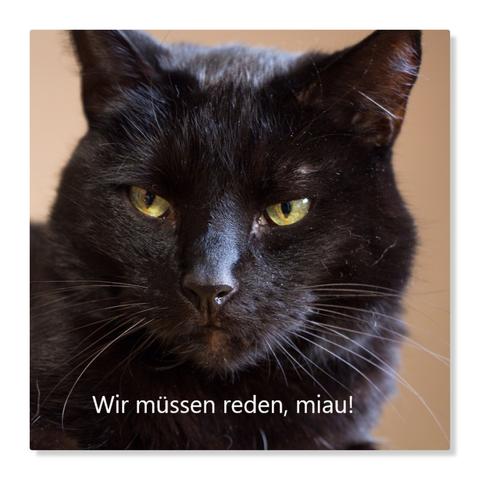 Foto. Ein schwarzer Kater mit gelben Augen schaut streng in die Kamera. Es ist nur sein großer Kopf zu sehen. Darunter steht in weißer Schrift: Wir müssen reden, miau!. Das Foto ist von einem weißen Rand umgeben.
