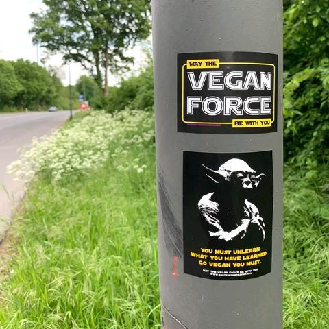 Ein Latetnenmast mit zwei Stickern beklebt.

Der obere ist an ein StarWars-Logo angelehnt und hat den Text "May The Vegan Force Be With You".

Darunter klebt ein schwarz-weißer Sticker mit einem Bild von Meister Yoda und dem Text "You Must Unlearn What You Have Learned. Go Vegan You Must." Darunter ein kleinerer Text "May The Vegan Force Be With You. WWW.ROOTSOFCOMPASSION.ORG"